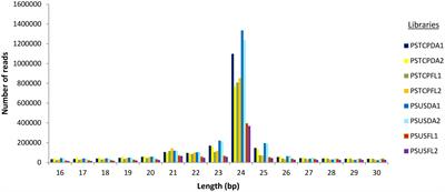 Genome-wide expression analysis of novel heat-responsive microRNAs and their targets in contrasting wheat genotypes at reproductive stage under terminal heat stress